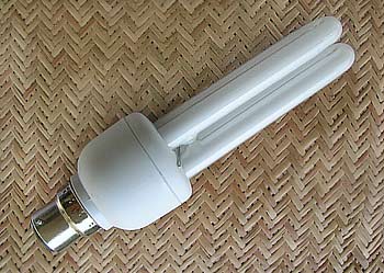 Compact Fluorescent bulb