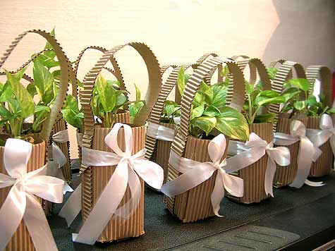 Batch of Gift Wrapped Plants as Party Return Gifts for Kids