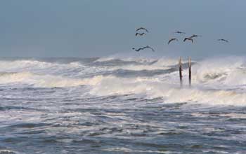 Flooding due to Global Warming