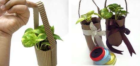 With or Without Satin Ribbons - your Organic Gift Pack sits Pretty