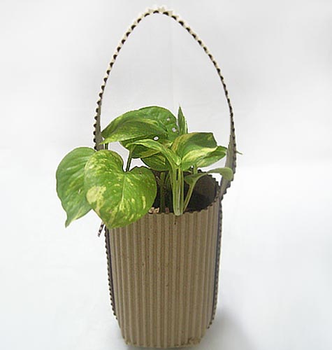 Green Gifts - Money Plant Gift Wrapped in Corrugated Paper