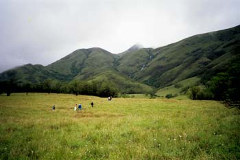 Mukurthi National Park