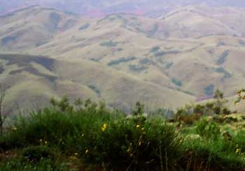 Undulating Green Hills