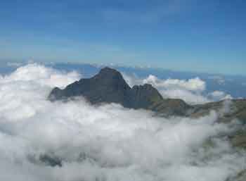 Nilgiri Peak from Mukurthi Peak