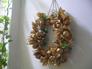 Dried Woodroses wreath on wall