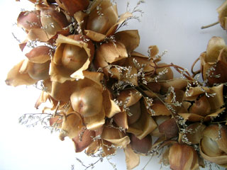 Dried Fillers in woodrose wreath